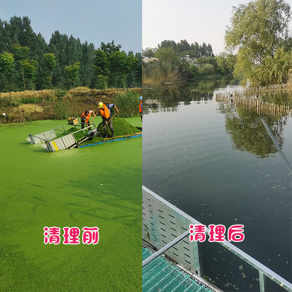 江蘇省常州市新北區(qū)河道浮萍清理效果展示